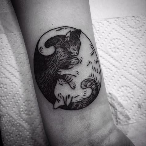 Ying Yang Cats Tattoo Pony Tattoo, Cats Tattoo, Ying Yang Tattoo, Cute Cat Tattoo, Black Cat Tattoos, Cat Tattoos, Cat Tattoo Designs, Doodle Tattoo, Arm Band Tattoo