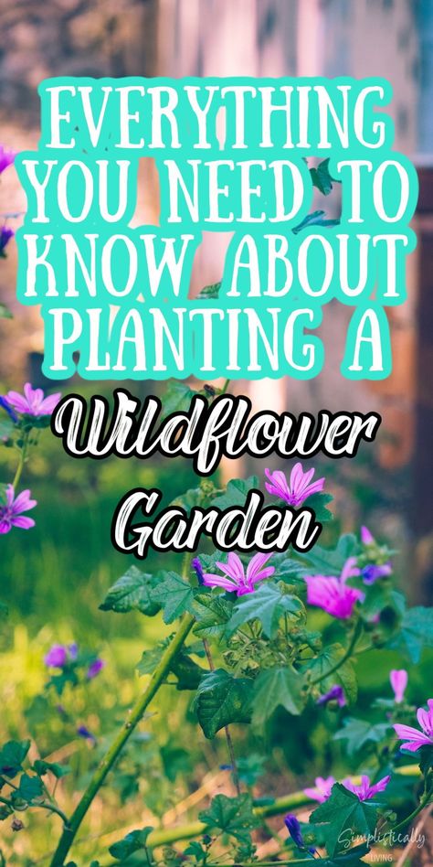 Wildflowers Around House, Growing A Wildflower Garden, Wildflower Home Garden, Wild Flowers Yard, Wildflower Mix Garden, Wildflower Garden Bed Front Yard, Shade Wildflowers Perennials, Wildflower Pollinator Garden, Northeast Wildflower Garden