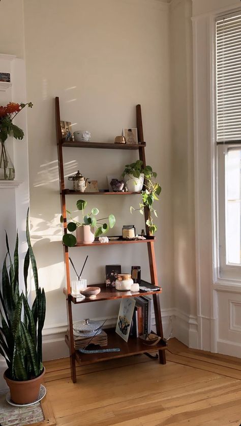 Master Bedrooms Shelves, Plant Stand In Bedroom, Seattle Home Aesthetic, Bookshelf With Plants And Books, Ladder Shelf Styling Living Room, Ladder Shelves Bedroom, House Plants Decor Bedroom, Ladder Shelf Aesthetic, Plant Shelf Ideas Living Room