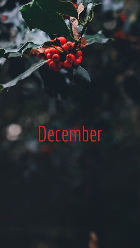 december wallpaper | Sfondi, Dicembre, Sfondi iphone Hello December Images Aesthetic, Welcome December Wallpaper, Hello December Aesthetic, December Wallpaper Aesthetic, Hallo December, Christmas Pfp Aesthetic, Hello December Images, Full Moon Light, Month Aesthetic