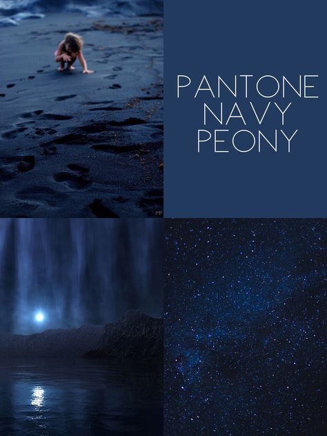 Navy Blue Pantone Colour Palettes, Indigo Pantone, Pantone Navy Blue, Pantone Colors Blue, Navy Blue Pantone, Pantone Navy, Navy Color Palette, Navy Peony, Color Knowledge