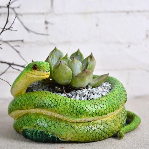 Succulent Pot Ideas, Succulents Pots, Coil Pottery, Coil Pots, Pot Ideas, Tanah Liat, Green Snake, Pot Plant, Ceramics Pottery Art