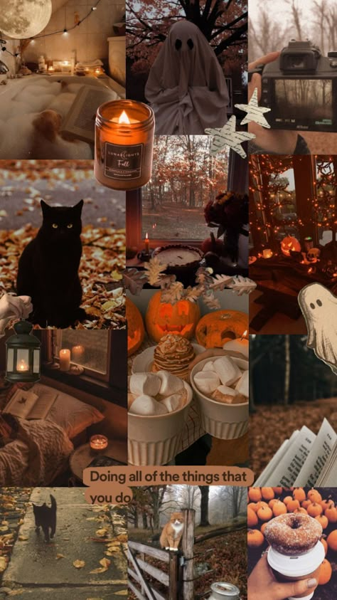 Fall Boards, Halloween Movie Night, Halloween Facts, Autumn In New York, Cute Fall Wallpaper, About Halloween, Autumn Magic, Fall Bucket List, Halloween Wallpaper Iphone