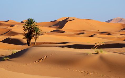 Embarrassed Face, Desert Farmhouse, Desert Pictures, Best Desert, Marriage Is Hard, Desert Places, Strong Willed Child, My Style Bags, Fun Deserts