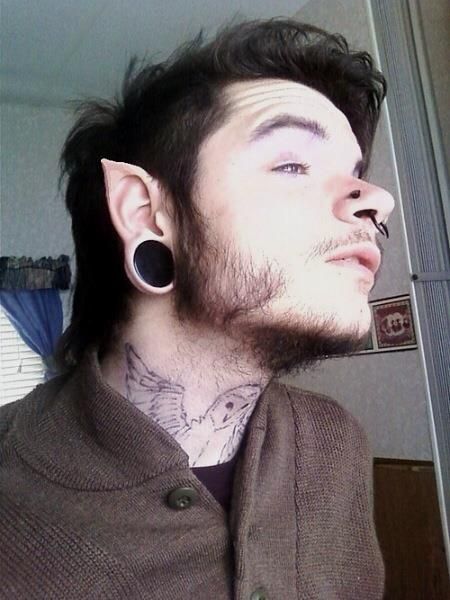 Guys Piercings Ears, Labret Vertical, Elf Ear, Face Piercings, Pointed Ears, Elf Ears, Facial Piercings, Body Modification, Body Piercings