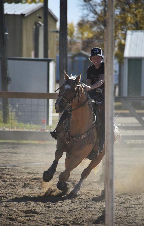 Pole Bending Horse, Horse Disciplines, Western People, Western Wallpapers, Pole Bending, Bronc Riding, Country Things, Rodeo Horses, Country Stuff