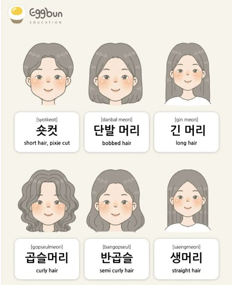 Age In Korean, Korean Learning Apps, Korean Verbs, Learning Korean Grammar, Learn Basic Korean, Korean Learning, Learn Korean Alphabet, Easy Korean Words, Learn Hangul