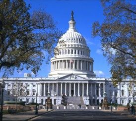 U.S. Capitol Building Senate Bean Soup, How To Soak Beans, Legislative Branch, Ham Bone, Us Senate, Form Of Government, Capitol Building, United Airlines, Bean Soup