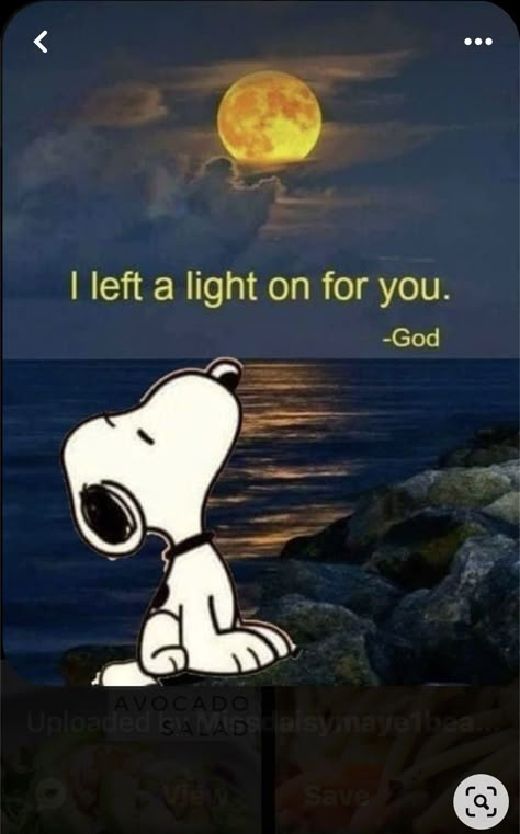 Thank You Snoopy, Peanuts Snoopy Quotes, Charlie Brown Quotes, Snoopy Dog, Snoopy Funny, Snoopy Images, Snoopy Quotes, Snoopy Pictures, Snoopy Love