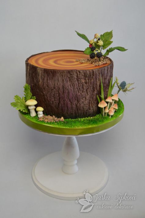 Forest cake by JarkaSipkova Forest Themed Cake, Wedding Forest Theme, Forest Theme Cake, Forest Theme Cakes, Masha Cake, Themed Cake Ideas, Birch Tree Cakes, Wedding Forest, Woodland Cake