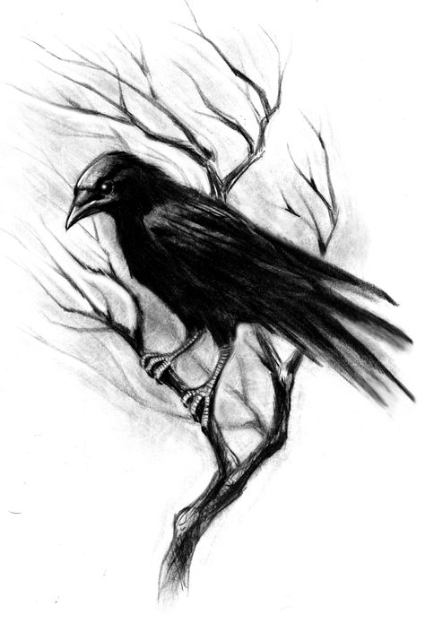 Black Crow Tattoos, Crow Drawing, Rabe Tattoo, Gotik Tattoo, Crow Images, Crows Drawing, Line Drawing Tattoos, Crow Tattoo Design, Gothic Tattoos