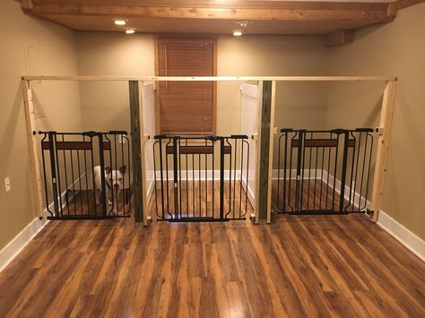 Dog Stalls Indoors, Dog Room Multiple Dogs, Indoor Dog Boarding Kennel Ideas, Indoor Dog Kennel Room, Dog Boarding Ideas In Home, Home Dog Boarding Ideas, Indoor Dog Area Ideas, Indoor Dog Room Ideas, Dog Garage Area