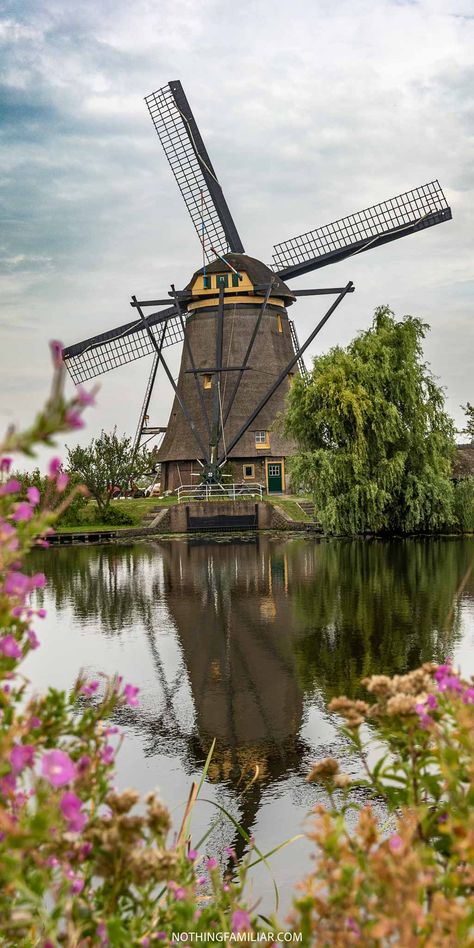 Netherlands Kinderdijk Windmills, Journey Quotes, Netherlands Travel, What Day Is It, South Island, New Journey, Bike Tour, Group Tours, Unesco World Heritage Site