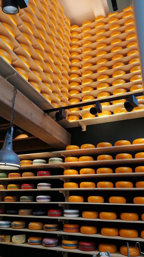 Old Amsterdam Cheese, Amsterdam Cheese, Cheese Wheel Pasta, Cheese Restaurant, Cheese Store, Cheese Wheel, Cheese Factory, Queso Cheese, Gouda Cheese