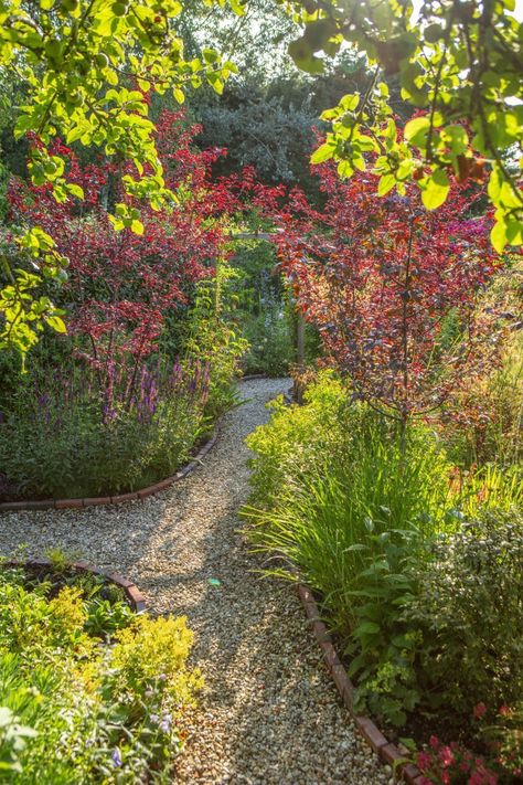 Red And Green Garden, Cottage Garden Vegetable Patch, Flower Garden With Walking Path, Meandering Garden Paths, Red And Purple Flowers Gardens, Evergreen Hedge, Walkways Paths, Garden Privacy, Sunken Garden