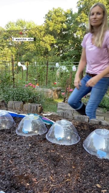 Diy Humidity Dome, Fancy On A Budget, Garden Cloches, Backyard Raised Garden, Garden Cloche, Garden Prepping, Garden Companion Planting, Small Vegetable Gardens, Outdoor Paradise