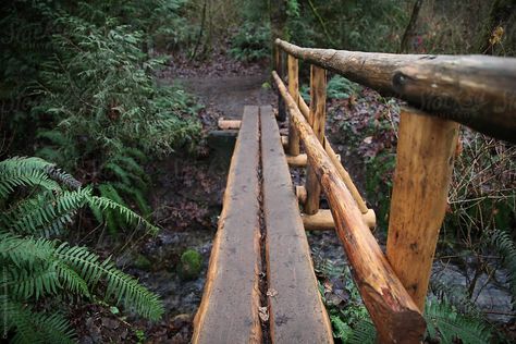 Log Bridge, Backyard Bridges, Tree Logs, Ponds Backyard, Rustic Gardens, Log, Bird Watching, Garden Bridge, Tree House