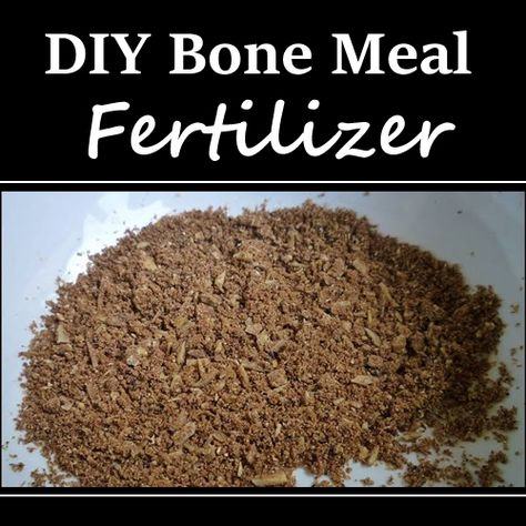 Diy Bone Meal For Plants, Bone Meal For Plants, Chicken Manure Fertilizer, Diy Plant Fertilizer How To Make, How To Make Fertilizer At Home, Natural Plant Fertilizer How To Make, Home Made Fertilizer, Diy Fertilizer, Raised Garden Beds Diy Vegetables