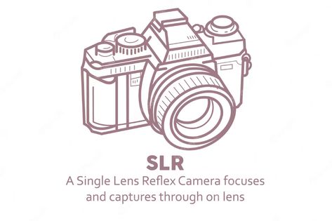 Camera Vector, Single Lens Reflex Camera, Camera Drawing, Slr Camera, Premium Vector, Graphic Resources, Line Art, Stock Vector, Hand Drawn