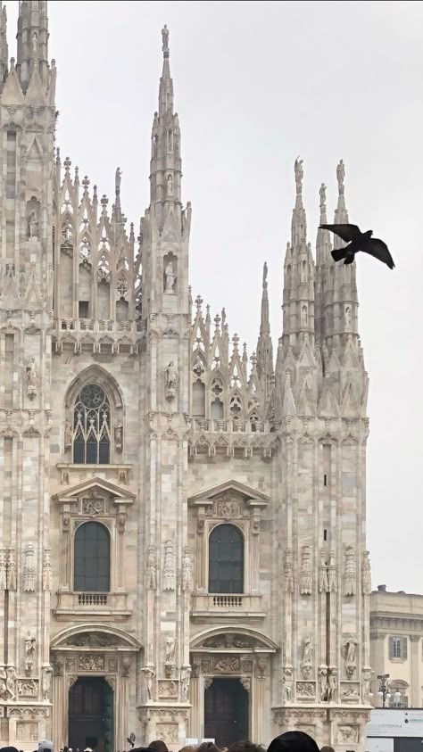 White Cathedral Aesthetic, Milan Cathedral Aesthetic, Mcr Collage, Cathedral Aesthetic, Goth Castle, Milan Aesthetic, Goth Architecture, Milan Travel, Borzoi Dog