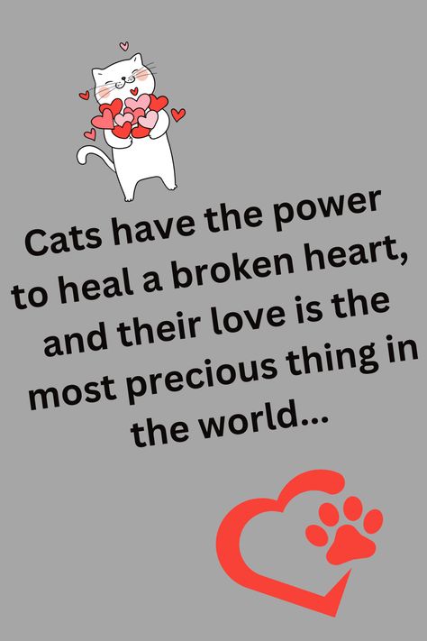 Best Cat Quotes, Cat Loves You, Quotes Cats Love, Cat Lovers Quotes Heart, Cat Quotes Love, Cat Person Quotes, Cat Lover Quotes, Pet Heaven, Pet Quotes Cat