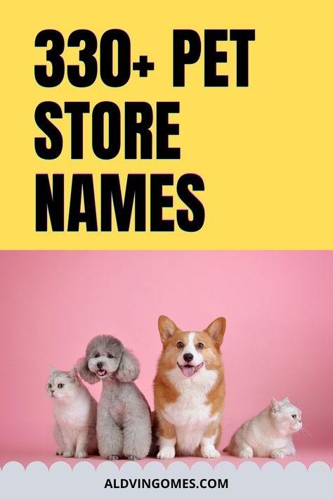 Planning to start your own pet store? Here is a list of 330+ Pet Store Names to grab. Pet Store Name Ideas, Cute Pet Store Names, Unique Pet Store Names. Petshop Names Ideas, Pet Shop Names Ideas, Funny Girl Dog Names, Pet Boutique Ideas, Puppies Names Female, Good Names, Pet Magazine, Cute Pet Names, Pet Care Business