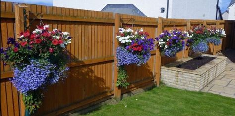 It’s time to take care of your summer garden! Hanging Plants On Fence, Fence Hanging Planters, Backyard Fence Decor, Fence Planters, Fence Plants, French Country Garden, Hanging Flower Baskets, Flower Baskets, Diy Fence