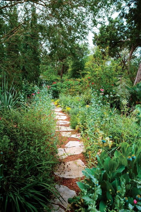 Almond Verbena, Year Round Garden, Texas Landscaping, Rose Garden Landscape, Shade Landscaping, Gardening Aesthetic, Round Garden, Evergreen Garden, Texas Gardening