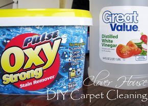 Diy Carpet Cleaning, Clean Hacks, Diy Carpet Cleaner, Carpet Cleaning Solution, Carpet Cleaning Hacks, Deep Cleaning Tips, Pet Stains, Diy Carpet, Carpet Cleaners