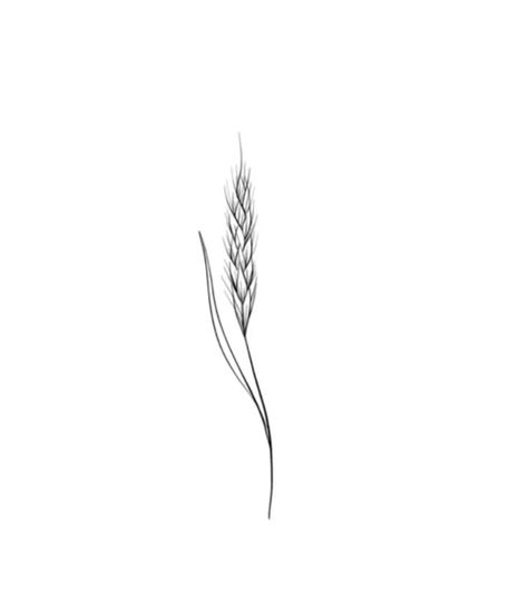 Blades Of Grass Tattoo, Wheat Ankle Tattoo, Wheat Wrist Tattoo, Simple Wheat Tattoo, Small Wheat Tattoo, Canola Tattoo, Fine Line Wheat Tattoo, Agriculture Tattoos For Women, Wheat Tattoo Meaning