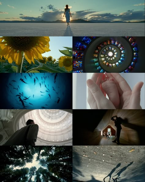 The Tree Of Life Movie Cinematography, Emmanuel Lubezki Photography, The Tree Of Life Movie, Vlog Aesthetic Background, Shot Types, Surrealist Photography, Terrence Malick, Filmmaking Inspiration, Filmmaking Cinematography