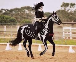 Matching Horse and Rider Skeleton costumes Horse Halloween Costumes, Horse Costumes, All The Pretty Horses, Horse Crazy, Halloween Cupcakes, Cool Ideas, Black Horse, Pet Costumes, Pretty Horses