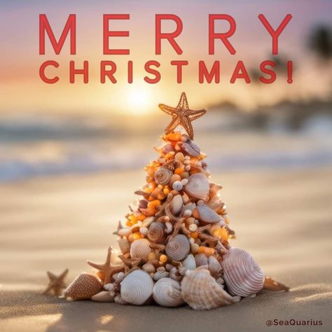 Beach Christmas Pictures, Christmas Shells, Xmas Photoshoot, Animated Christmas Pictures, Wine Cork Crafts Christmas, Beach Christmas Trees, Cork Crafts Christmas, Christmas Palm Tree, Aussie Christmas