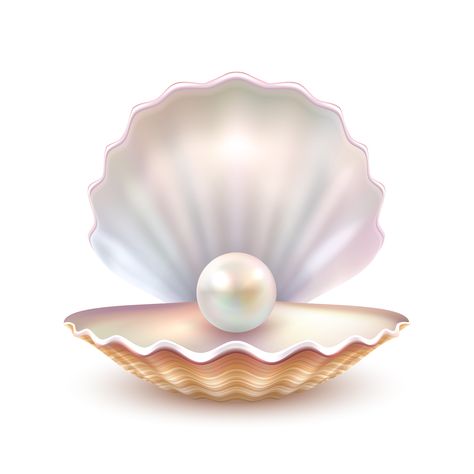 Download the Pearl Shell Realistic Close Up Image 471171 royalty-free Vector from Vecteezy for your project and explore over a million other vectors, icons and clipart graphics! Leaflet Template, Shell Drawing, Sale Flyer, Banner Vector, Sale Banner, Pearl Shell, Abstract Watercolor, 그림 그리기, Watercolor Illustration