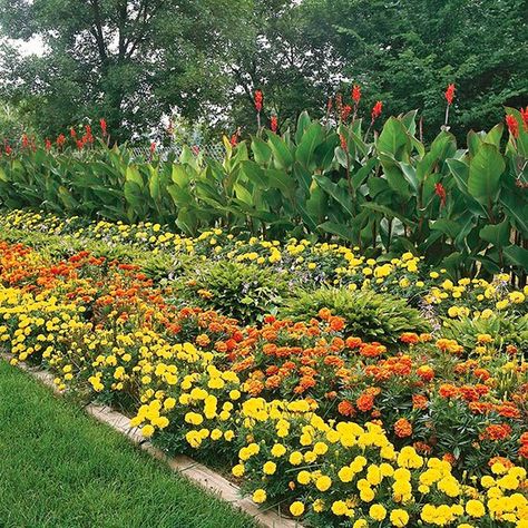 GardenBold_Four Layer Autumn Colored Flower Border Short Plants, California Garden, Cottage Garden Plants, Most Beautiful Gardens, Beautiful Flowers Garden, Garden Edging, Tall Plants, Colorful Garden, Landscape Projects