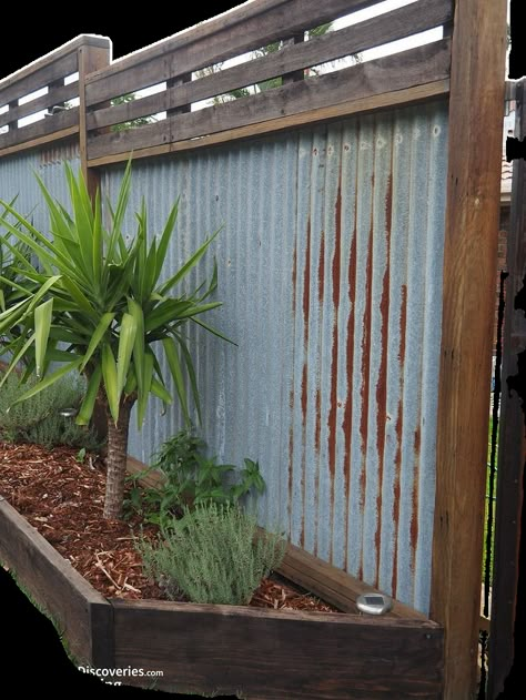 Pagar Modern, Corrugated Metal Fence, Diy Privacy Fence, Pergola Diy, Wood Fences, Privacy Fence Designs, Timber Fencing, Cheap Backyard, Fence Designs