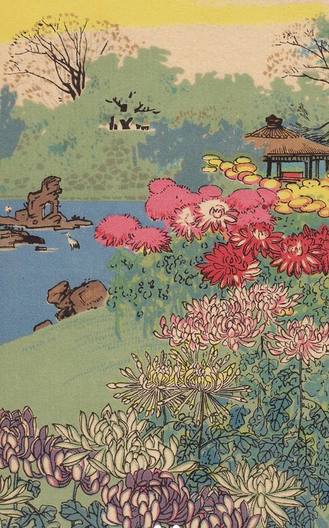 Chrysanthemum at Hibiya Park, 1915 Chrysanthemum Illustration, Chrysanthemum Wallpaper, Chrysanthemum Painting, Medieval Japanese, 5 Aesthetic, Gallery Interior, Art Gallery Interior, Favorite Wallpaper, Self Pictures