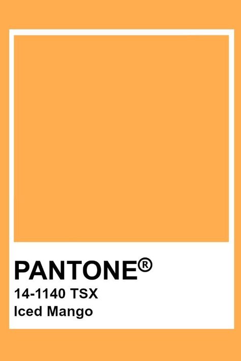 Yellow Orange Pantone, Iced Mango Pantone, Light Orange Pantone, Orange Color Pantone, Tangerine Pantone, Mango Aesthetic, Orange Pantone, Pantone Orange, Mango Color