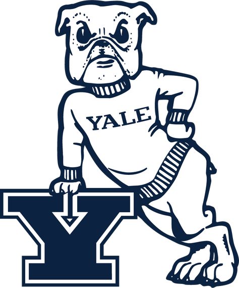 Yale Bulldogs Logo Secondary Logo (2019-Pres) - Bulldog in sweater leaning on different-Block Y. Made its return of several years of unuse. SportsLogos.Net Bulldog Drawing, Rugby Logo, Bulldogs Logo, Yale Bulldogs, Ivy League Schools, Secondary Logo, Word Mark Logo, University Logo, Dream School