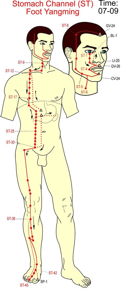 Reflexology Points, Massage Therapy Techniques, Reflexology Massage, Alternative Healing, Acupuncture Points, Healing Hands, Acupressure Points, Chiropractic Care, Alternative Therapies