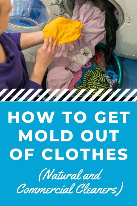 Mold can be hard to contend with when you live in a humid region. Still, it's never fun to find that discoloration on your clothes. Learn how to get mold out of clothes without damaging your clothing. #mold #cleaningtips #carpetmold #cleaningmold #housemold #blackmold Mold Out Of Clothes, Mold On Clothes, Remove Mold From Clothes, Remove Mould From Fabric, Remove Mold Stains, Mold Smell, Smell Remover, Mildew Remover, Mildew Stains