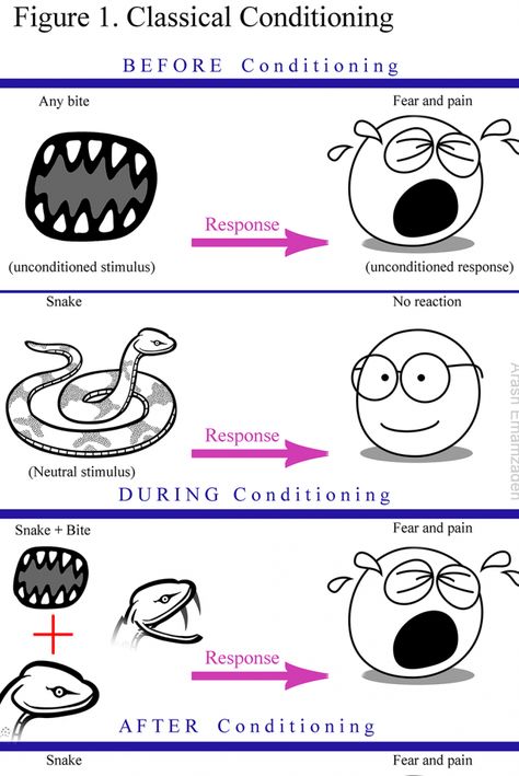 I discuss the origins of common fears, using the example of fear of snakes. #psychology #fears #causes #personality #psychological #classicalconditioning #vicariouslearning #modeling #warnings #snakes #fearofsnakes #venomous #conditioned #unconditioned #stimulus #evolutionarypsychology #evolution  #cognition #danger #disgust #uncontrollable #unpredictable #learning #research #control #predictability #psychologicalfacts Psychology Of Fear, Evolutionary Psychology, Psychology Terms, Common Fears, Psychology Facts, Study Materials, Teaching Math, Evolution, Self Help