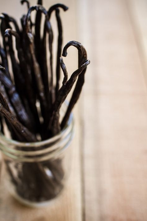 Grow Vanilla Beans, Cozy Fall Drinks, Cinnamon Simple Syrup, Make Vanilla Extract, Vanilla Extract Recipe, Homemade Vanilla Extract, Vanilla Beans, Fresh Spices, Absolut Vodka