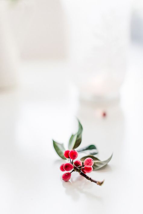 My Love Photo, Minimal Christmas, Aesthetic Red, Christmas Photography, Noel Christmas, Christmas Love, Christmas Aesthetic, Red Berries, Christmas Wallpaper