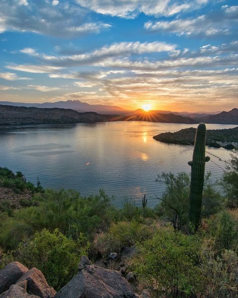 Nature Sunrise, Visit Arizona, Desert Living, Dawn And Dusk, Beautiful Sites, National Forest, Sunrise Sunset, Photo Credit, Behind The Scenes