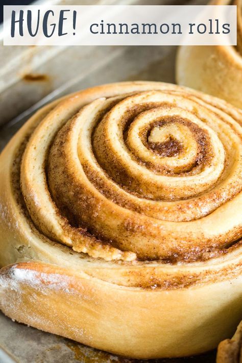 Easy Giant Cinnamon Rolls Recipes, Large Cinnamon Buns, Giant Cinnamon Rolls Easy, Texas Sized Cinnamon Rolls, Giant Fluffy Cinnamon Rolls, Xl Cinnamon Rolls, Big Homemade Cinnamon Rolls, Extra Large Cinnamon Rolls Homemade, Texas Size Cinnamon Rolls