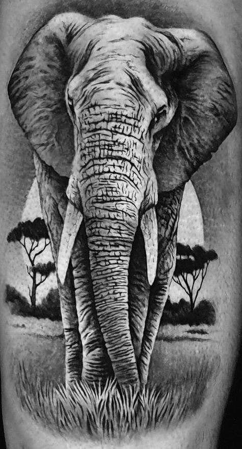 Safari Leg Tattoo, Maa Tattoo Designs, Maa Tattoo, Tattoo Samples, Shin Tattoo, Animal Tattoo Ideas, Elephant Tattoo Design, Bike Tattoos, Chicano Drawings