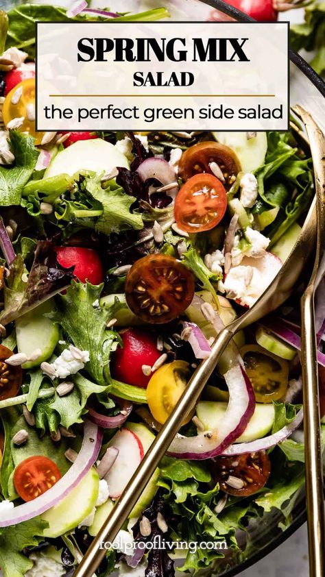 Salad Mix Recipes, Mix Salad Recipes, Spring Mix Salad Recipes, Apple Spinach Salad, Five Bean Salad, Roasted Pear Salad, No Mayo Coleslaw, Creative Salads, Mix Salad