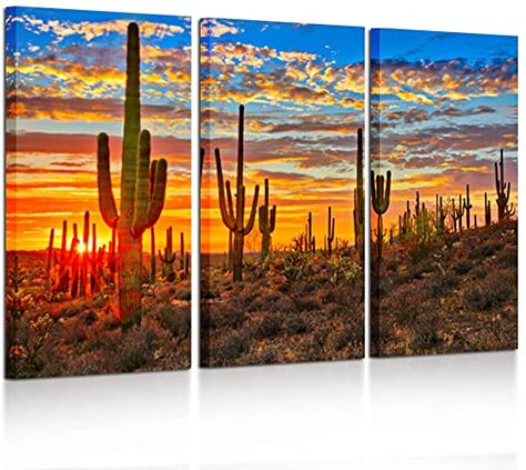 Beautiful Sunset Landscape, Cactus Photo, Cactus Pictures, Fine Art Painting Acrylic, Cactus Wall Art, Desert Painting, Desert Cactus, Sonoran Desert, Sunset Landscape