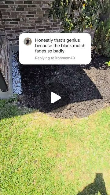 Outdoor Mulch Ideas Front Yards, Mulch Around Pool, Alternatives To Mulch, How To Make Mulch, What Color Mulch Should I Use, Mulch Dye, Black Mulch Landscaping, Instead Of Mulch What To Use, Mulch Landscaping Ideas